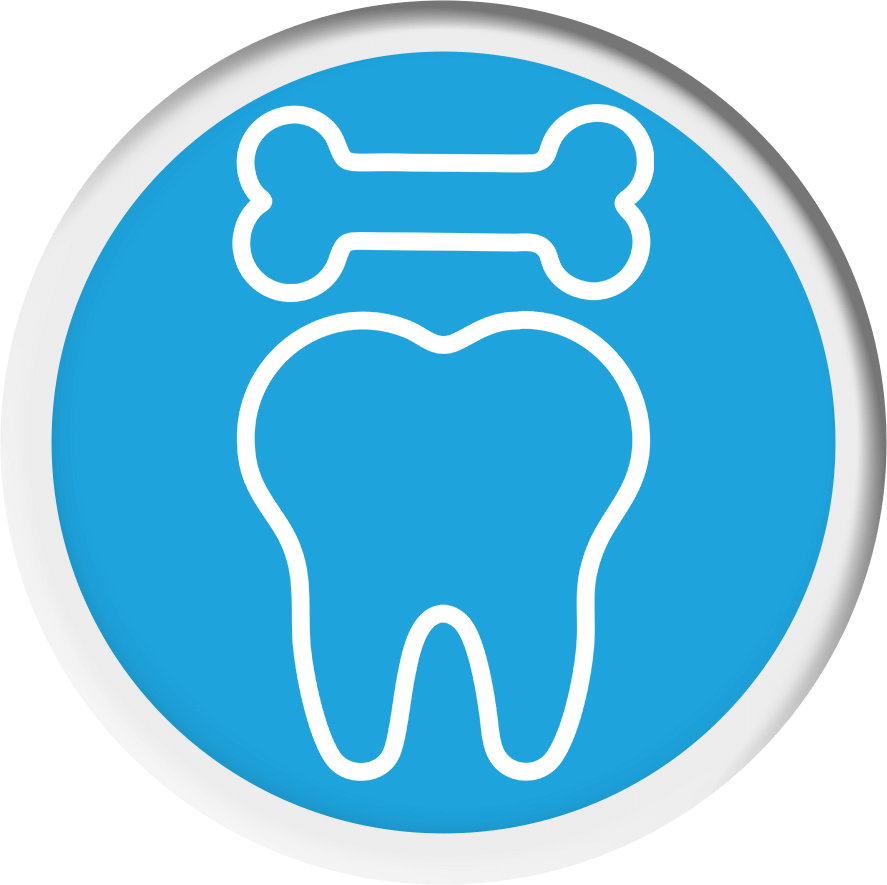 dental icon