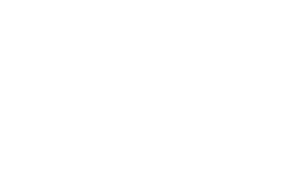 custom survey arrow